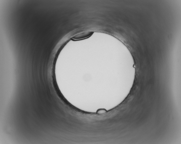 X0000115080007200911241151