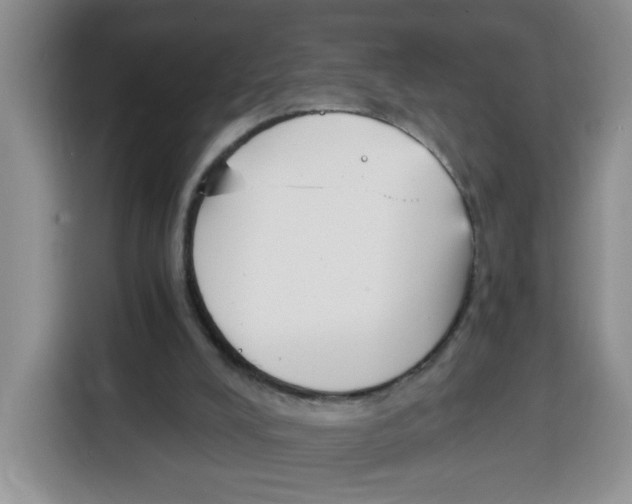 X0000115080008200911241151