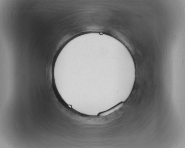 X0000115080011200911241151