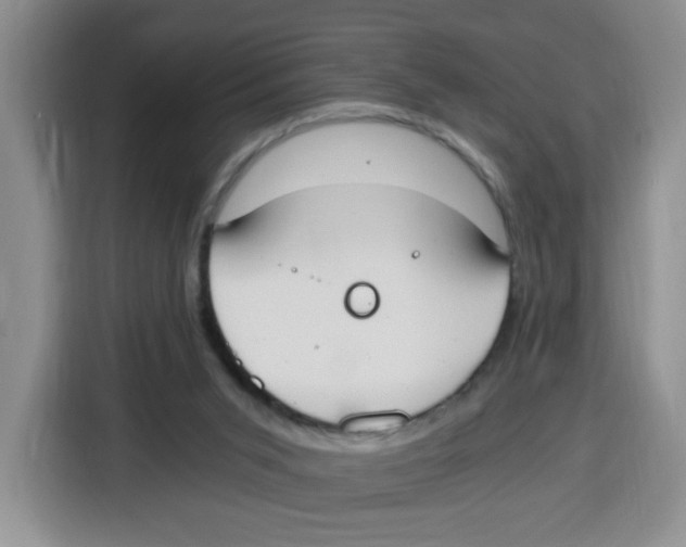 X0000115080015200911241151