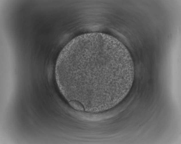 X0000115080018200911241151