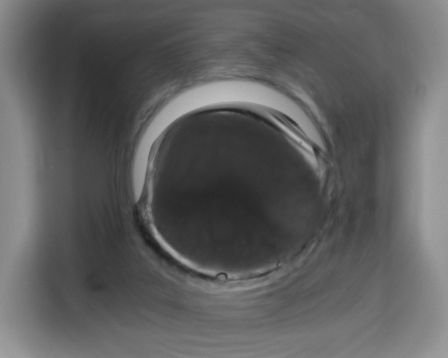 X0000115080019200911241151