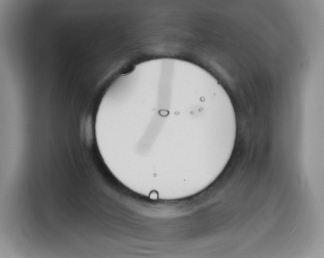 X0000115080020200911241151