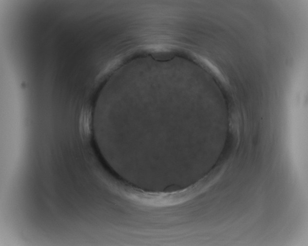 X0000115080023200911241151