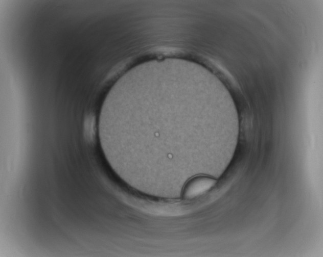 X0000115080024200911241151