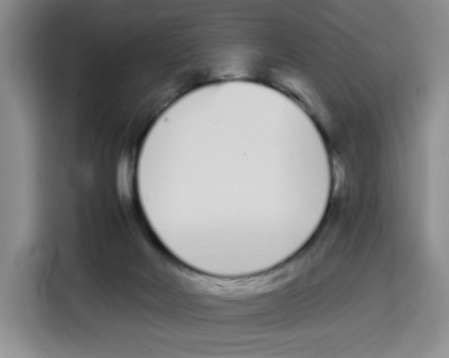 X0000115080026200911241151