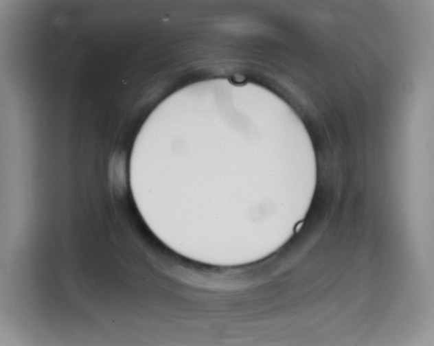 X0000115080028200911241151