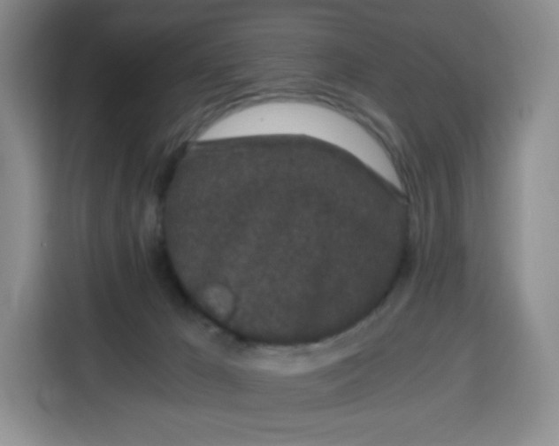 X0000115080029200911241151