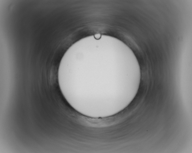 X0000115080030200911241151