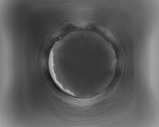 X0000115080031200911241151