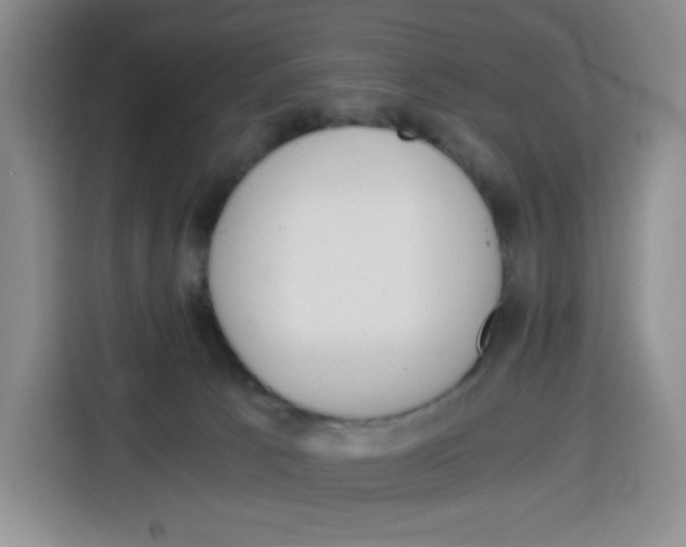 X0000115080033200911241151