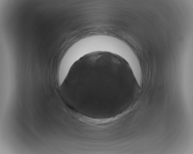 X0000115080035200911241151