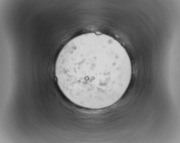 X0000115080036200911241151