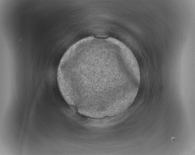 X0000115080037200911241151