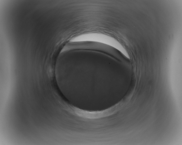 X0000115080039200911241151