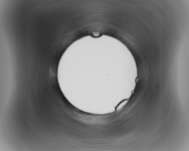 X0000115080040200911241151