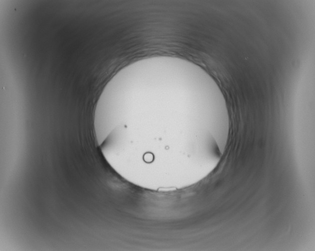 X0000115080041200911241151