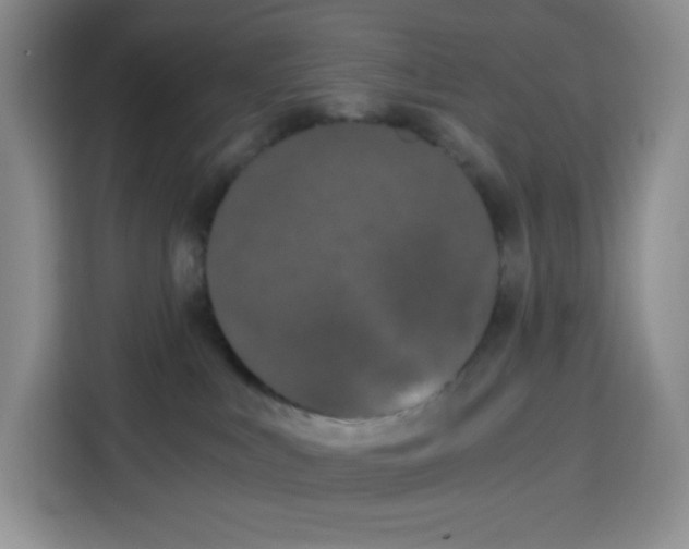 X0000115080043200911241151