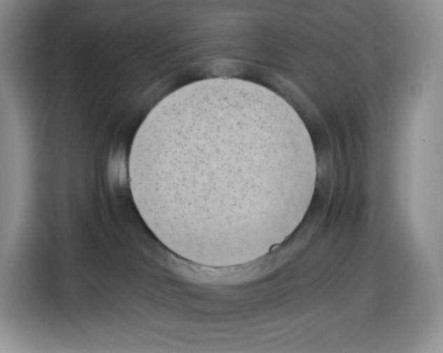 X0000115080046200911241151