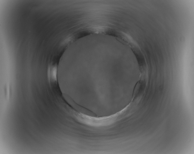 X0000115080047200911241151