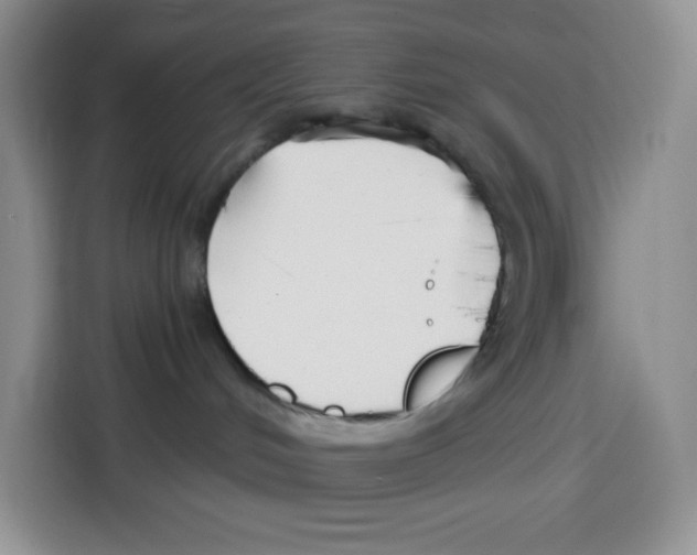 X0000115080048200911241151