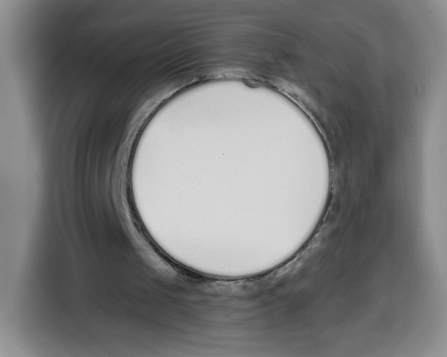 X0000115080049200911241150