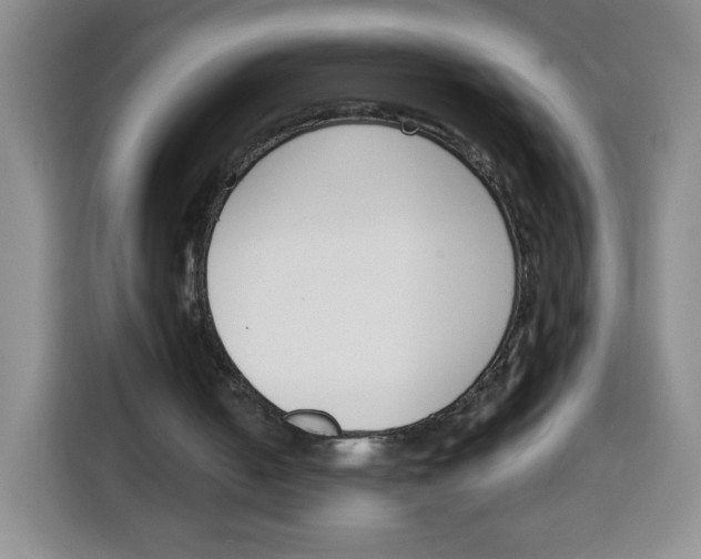 X0000115080050200911241150