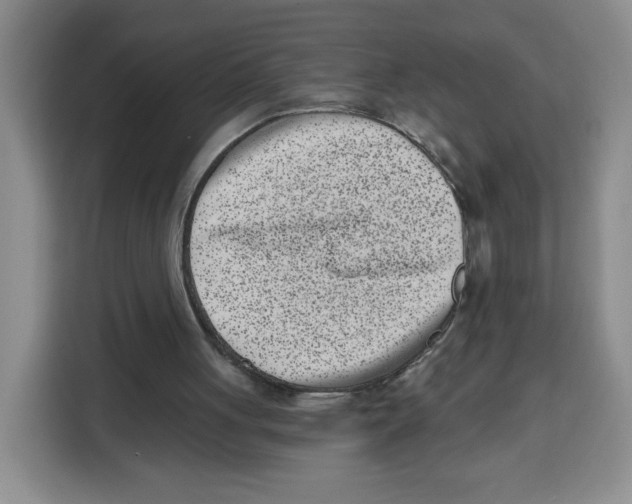 X0000115080051200911241150