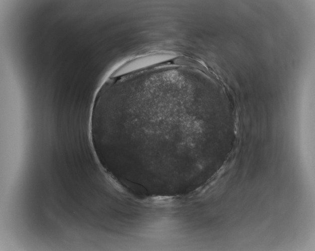 X0000115080052200911241150