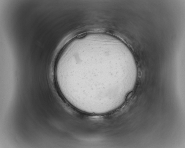 X0000115080053200911241150