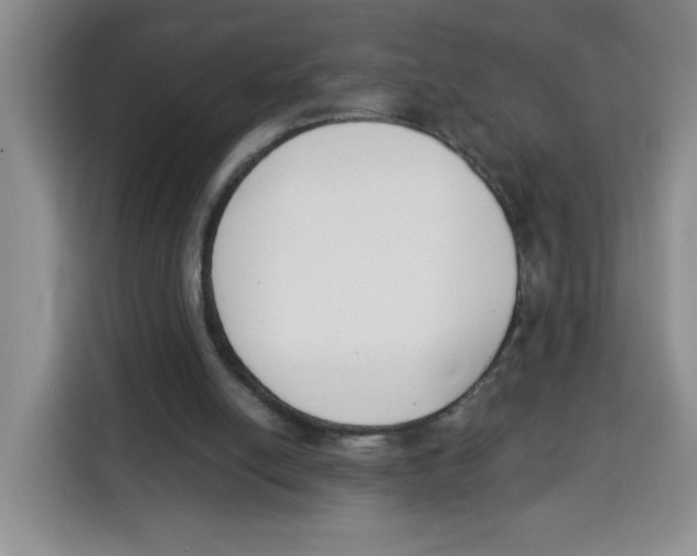 X0000115080054200911241150