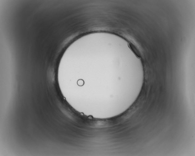 X0000115080060200911241150