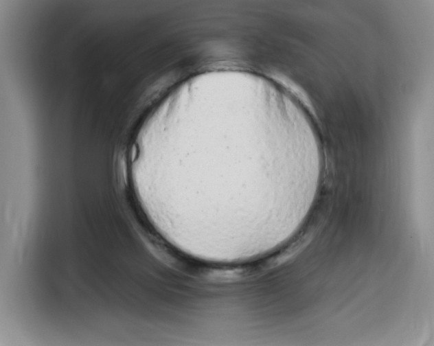 X0000115080061200911241150