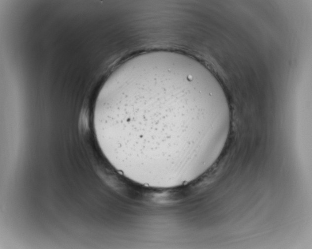 X0000115080068200911241150