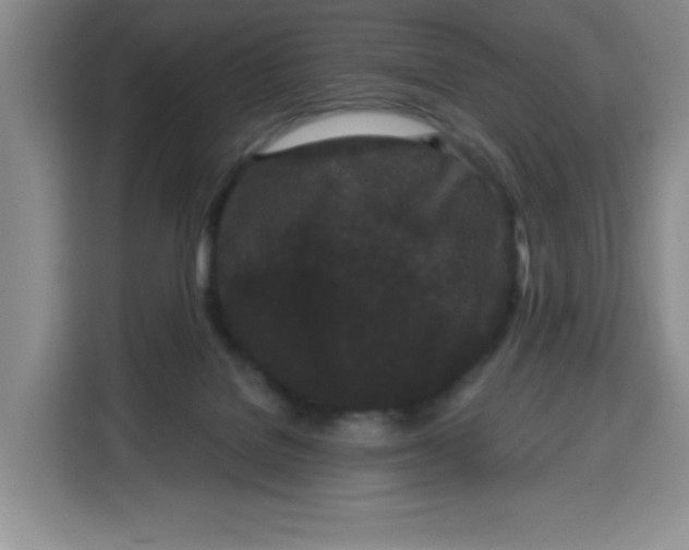 X0000115080076200911241150