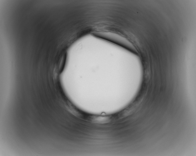 X0000115080081200911241150