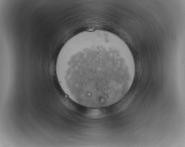 X0000115080083200911241150