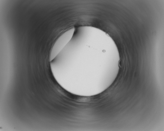 X0000115080084200911241150