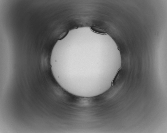 X0000115080088200911241151