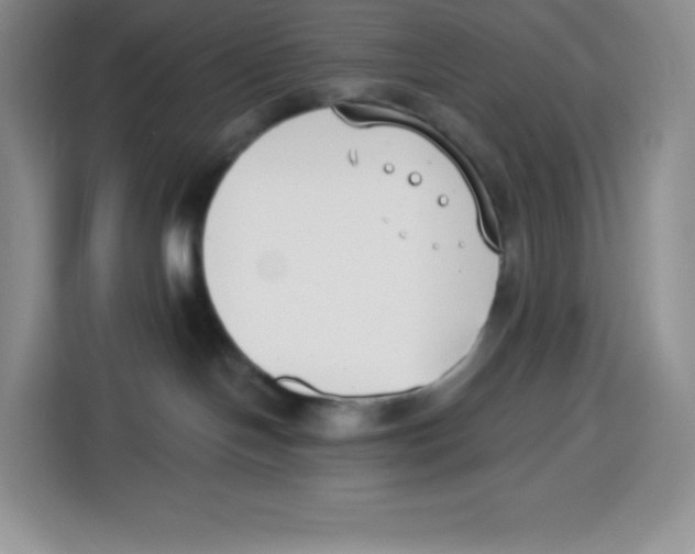 X0000115080094200911241151