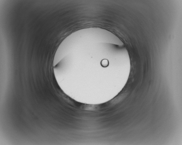 X0000115080096200911241151