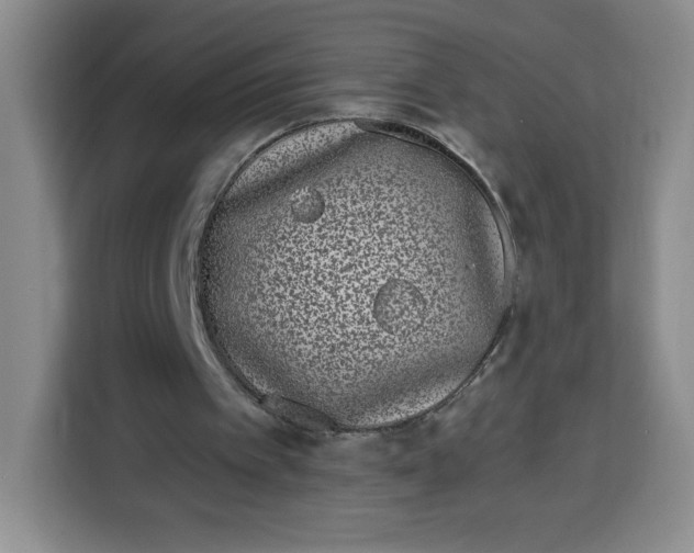 X0000115080097200911241150