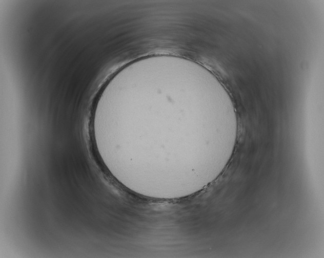 X0000115080098200911241150