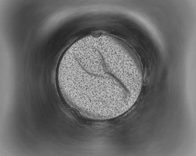 X0000115080099200911241150