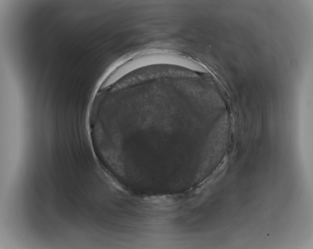 X0000115080100200911241150