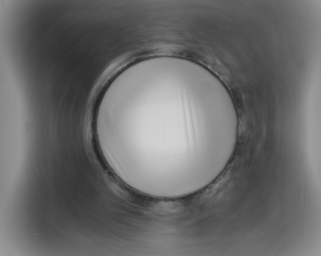 X0000115080101200911241150