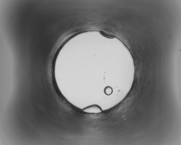 X0000115080103200911241150