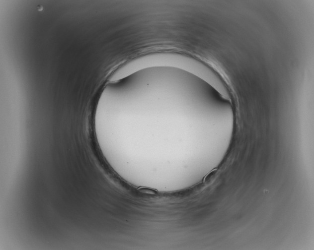 X0000115080105200911241150