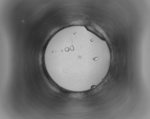 X0000115080106200911241150