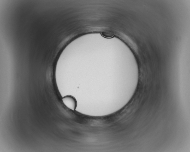 X0000115080107200911241150